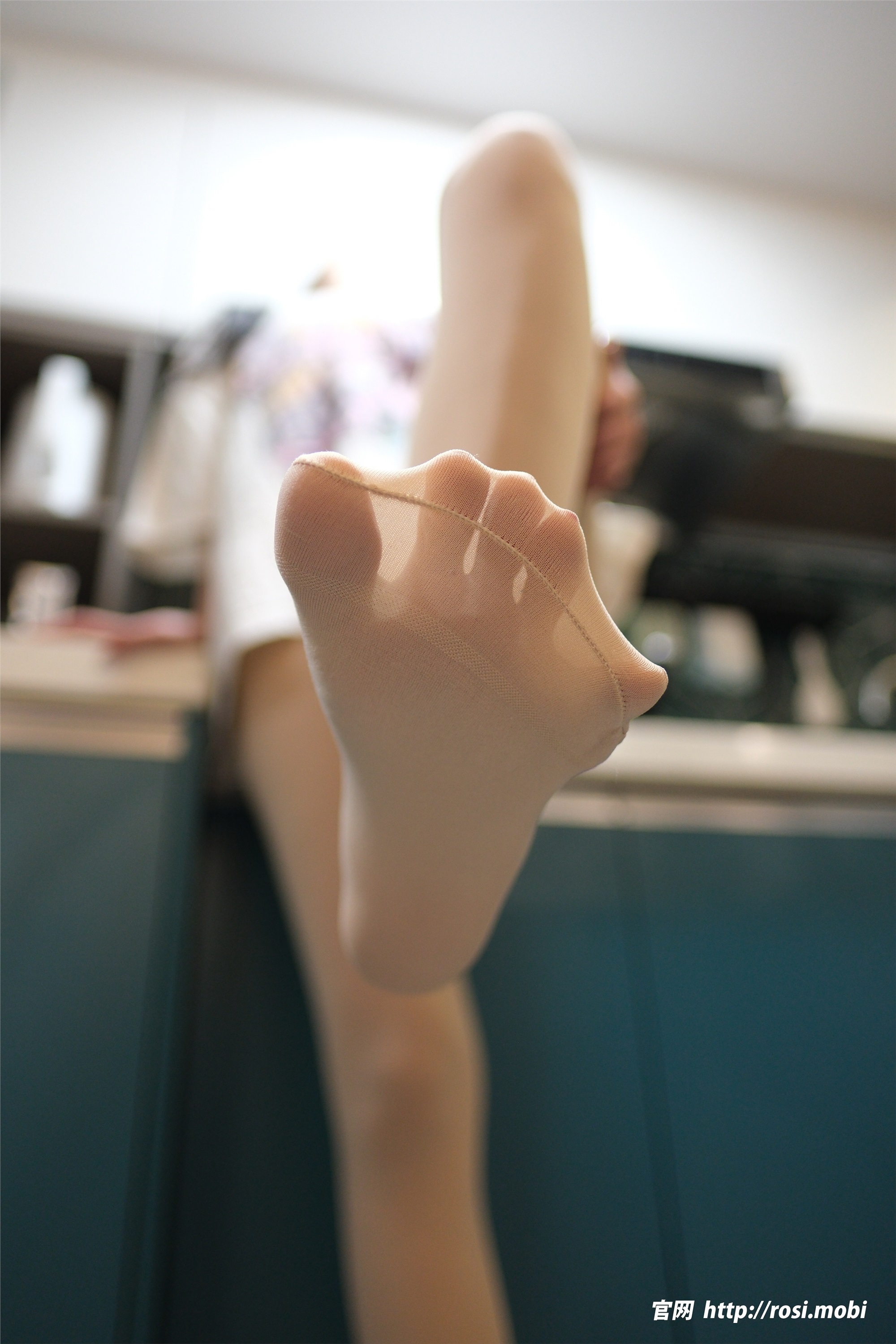 ROSI写真 2025.02.05 NO.4811